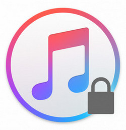 Apple Music は DRM が掛かっている