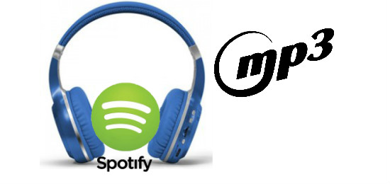 Spotify で聴ける曲を MP3 に変換